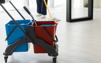 Waarom snel handelen bij vlekken op meubels cruciaal is?