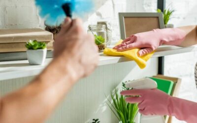 Waarom consistente hygiëne zorgt voor betere reviews en boekingen.